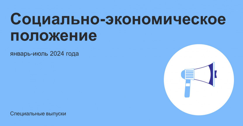 Социально-экономическое положение Чеченской Республики за январь-июль 2024 года